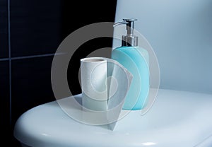 Toilet paper roll placed on a commod along with hand soap. Hygeine concept