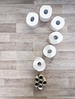 Toilet paper rolls question mark
