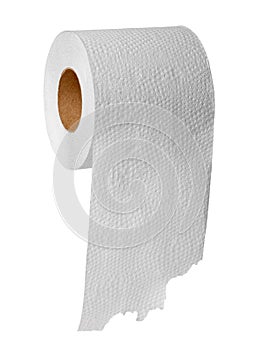 Toilet paper on white background