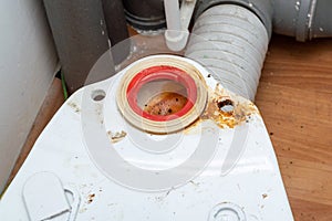toilet repair. the drain tank is removed from the toilet