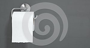 Toilet Roll On Chrome Hanger