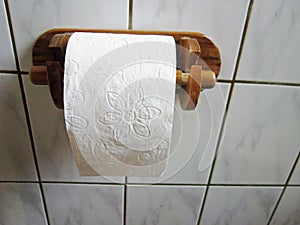 Toilet Roll on the Toilet Roll Holder in the Toilet