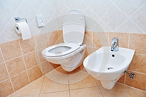 Toilet sanitary sink or bowl bidet and paper