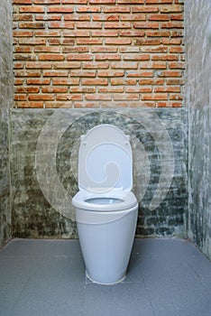 Toilet seat decoration in bathroom interior
