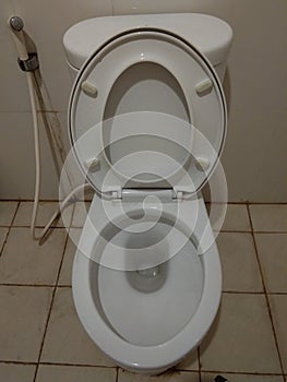 The toilet seat photo is white in ceramic photo