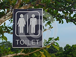 Toilette Platte hängend auf der grüne blätter ein Baum auf der öffentlich extern 