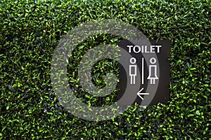 Toilet sign for men and women on the green grass wall background