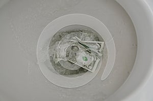 A thousand dollars of the bill washed into the toilet