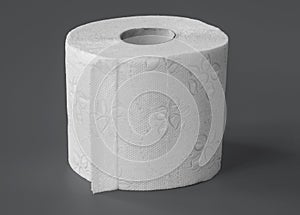 TOILETTE PAPER ROLL