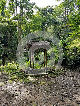 Toilette sign stand wood bamboo jungle rain forest middle place tree sky through sun shine earth leafes chiang mai north