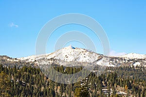 Toiyabe national forest view snowy mountain view sunlit trees around clear sunlit sky background