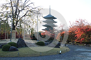 Toji pagoda and autumn leaves in the early morning, in Kyoto, Japan