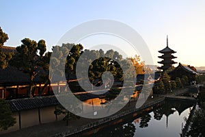 Toji pagoda and autumn leaves in the early morning, in Kyoto, Japan