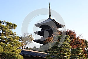 Toji pagoda in the early morning, in Kyoto, Japan
