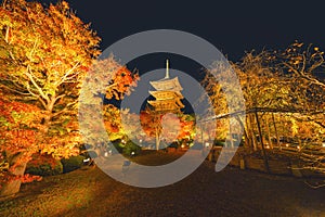 Toji Pagoda Temple with red maple leaves or fall foliage in autumn season. Colorful trees, Kyoto, Japan. Nature and architecture