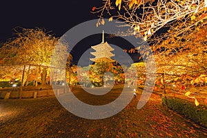 Toji Pagoda Temple with red maple leaves or fall foliage in autumn season. Colorful trees, Kyoto, Japan. Nature and architecture