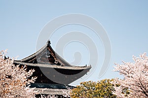 Toji temple with cherry blossoms at spring in Kyoto, Japan