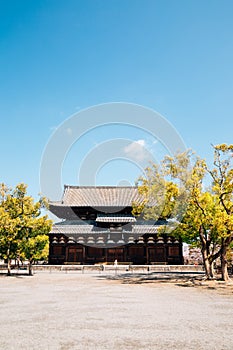 Toji temple in Kyoto, Japan