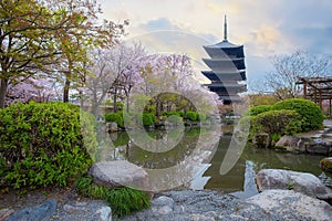 Toji Temple in Kyoto, Japan during beautiful full bloom cherry blossom season