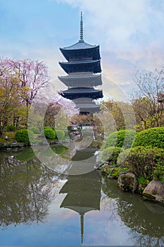 Toji Temple in Kyoto, Japan during beautiful full bloom cherry blossom season