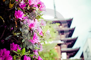 Toji Temple pagoda tower in Kyoto