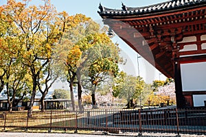 Toji temple at spring in Kyoto, Japan