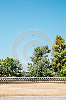 Toji temple traditional garden in Kyoto, Japan