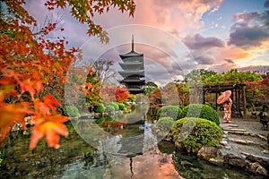 Toji temple and wood pagoda in autumn Kyoto, Japan