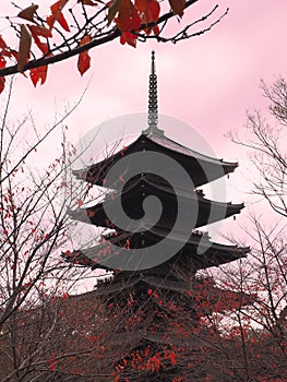Toji wooden pagoda against soft pink sky and orange leaves.