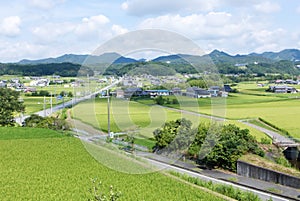 Tojo in Hyogo Prefecture Grows the Best Rice for SakÃ©