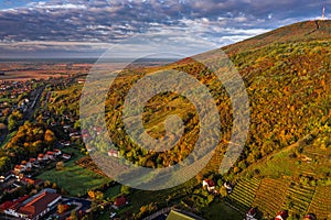 Tokaj, Hungary - Aerial view of the golden vineyards on the hills of wine region of Tokaj on a warm sunny autumn morning