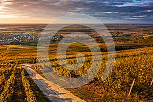 Tokaj, Hungary - Aerial view of the world famous Hungarian vineyards of Tokaj wine region with town of Tokaj at background