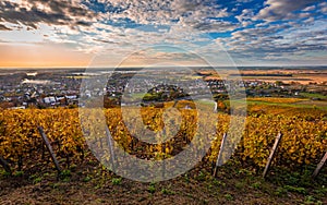 Tokaj, Hungary - The world famous Hungarian vineyards of Tokaj wine region, taken on a warm, golden glowing autumn morning