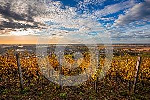 Tokaj, Hungary - The world famous Hungarian vineyards of Tokaj wine region, taken on a warm, golden glowing autumn morning photo