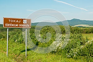 Tokaj region