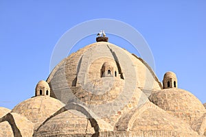 Toki-Zargaron, the covered bazaar of Bukhara, in Uzbekistan