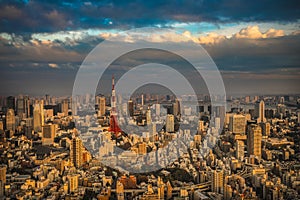 Tokyo aerial panoramic view