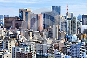 Tokyo big city