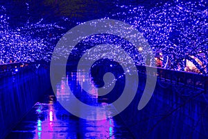 Tokyo christmas illumination