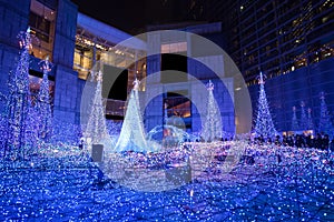 Tokyo christmas and winter season Illuminations