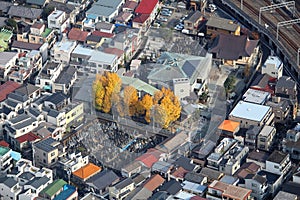 Tokyo city autumn aerial view