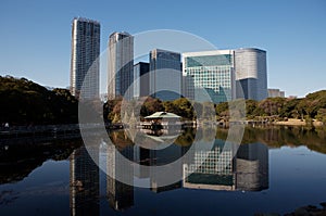 Tokyo city business buildings and garden