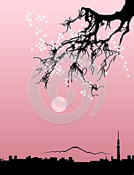 Tokyo City skyline black silhouette on natural sakura background. Vector