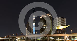 Tokyo city skyline with Skytree Tower at night