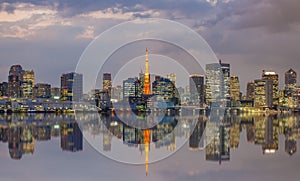 Tokyo city view and Tokyo Tower