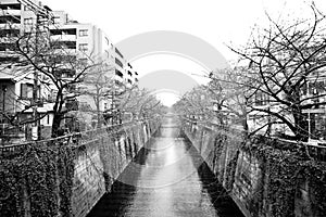 Tokio la ciudad Agua canal 