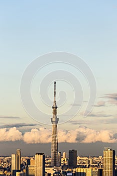 Tokyo cityspace sunset view