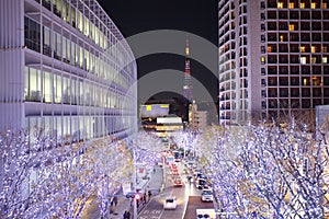 Tokyo Illuminations of the Christmas light