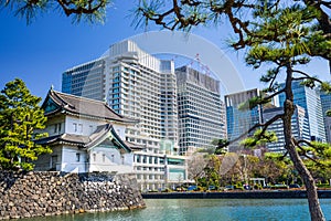 Tokyo Imperial Moat and Cityscape