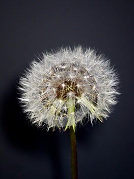 Isolated parachute ball on black background